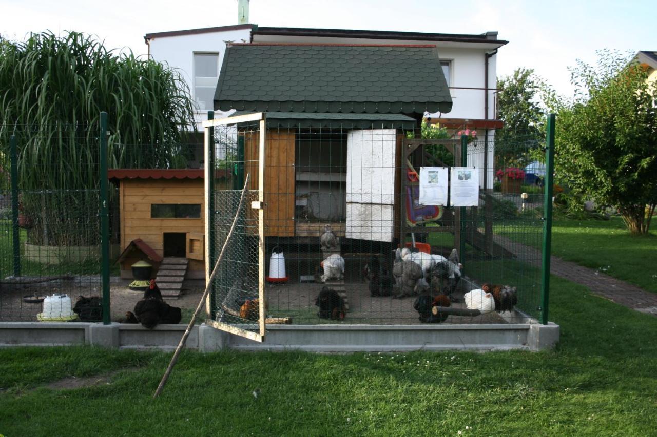 Sianowskie Ranczo Exterior photo